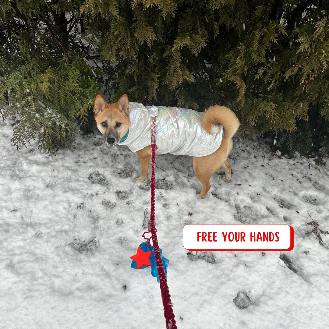 Poop Bags Holder